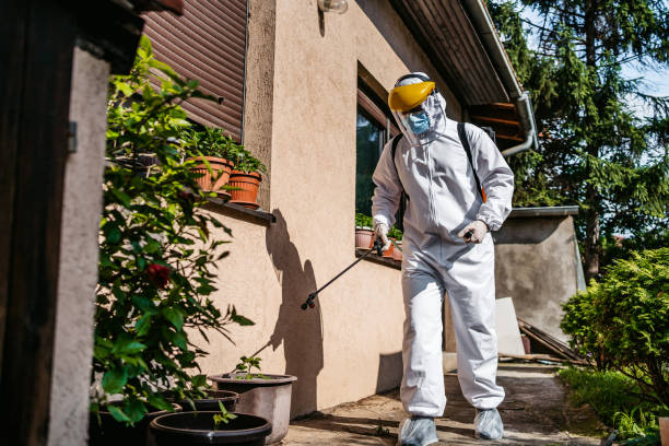 Best Affordable Pest Control Services  in Varnville, SC