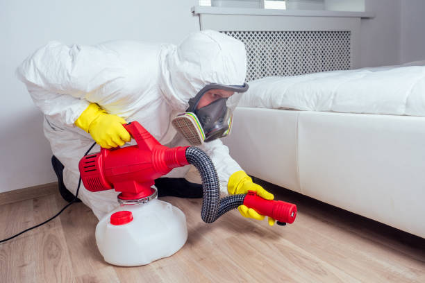 Best Pest Control Near Me  in Varnville, SC