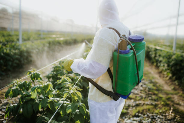  Varnville, SC Pest Control Pros